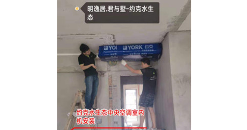 約克香蕉视频污版兩聯供